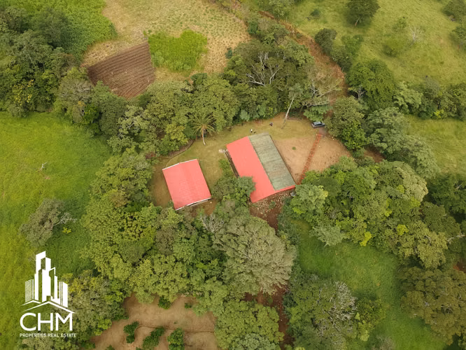 VENTA DE ESPECTACULAR FINCA-ALAJUELA-SAN RAMÓN-PIEDADES SUR