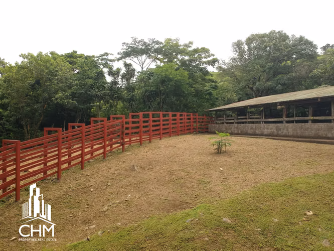 VENTA DE ESPECTACULAR FINCA-ALAJUELA-SAN RAMÓN-PIEDADES SUR