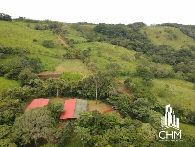 VENTA DE ESPECTACULAR FINCA-ALAJUELA-SAN RAMÓN-PIEDADES SUR