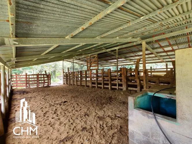 VENTA DE ESPECTACULAR FINCA-ALAJUELA-SAN RAMÓN-PIEDADES SUR
