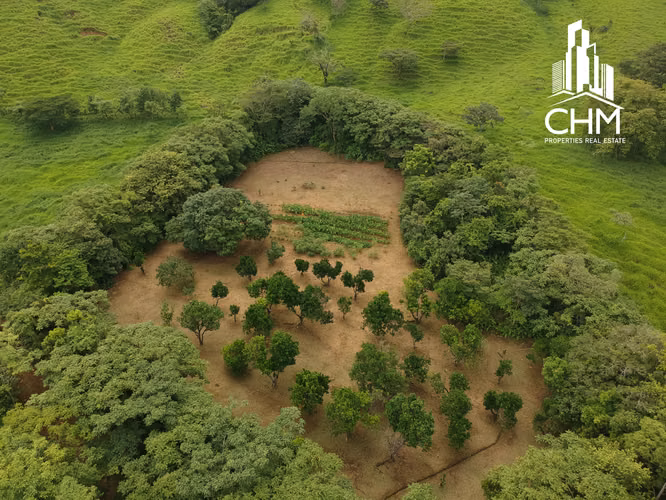 VENTA DE ESPECTACULAR FINCA-ALAJUELA-SAN RAMÓN-PIEDADES SUR