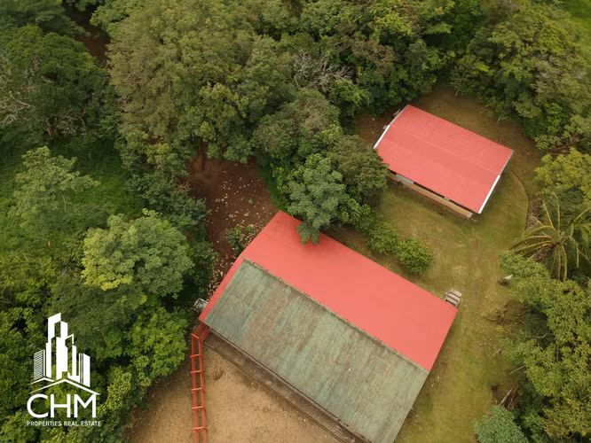 VENTA DE ESPECTACULAR FINCA-ALAJUELA-SAN RAMÓN-PIEDADES SUR