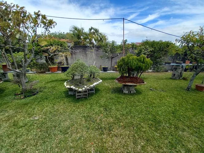 02 / Venta / lote de 3000 mts con casa grande / Uso suelo 8 casas / San Rafael alto de las palomas - Imagen 5