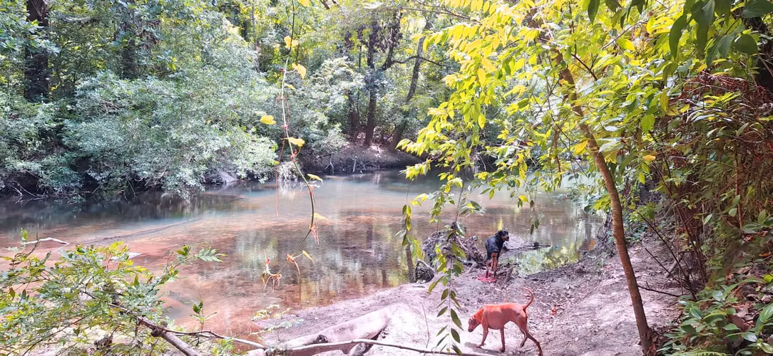 2 Casas + 1 Apartamento con Acceso Privado al Río El Salto, a Solo 10 Minutos de Liberia
