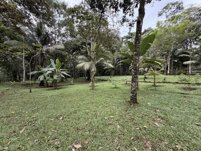Quinta en venta, Aguas Zarcas, San Carlos