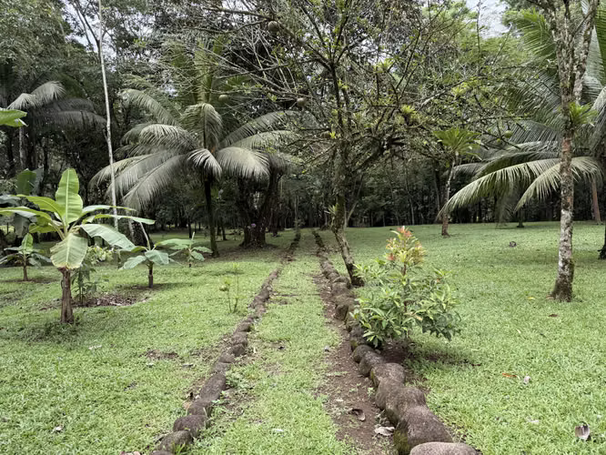 Quinta en venta, Aguas Zarcas, San Carlos