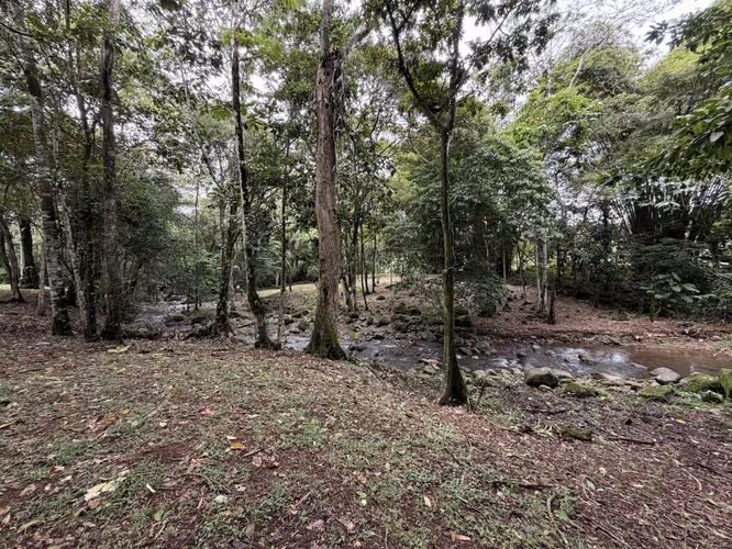 Quinta en venta, Aguas Zarcas, San Carlos