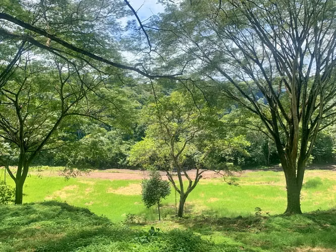 Finca Estratégica para Desarrollo Industrial, Logístico, Comercial y Residencial