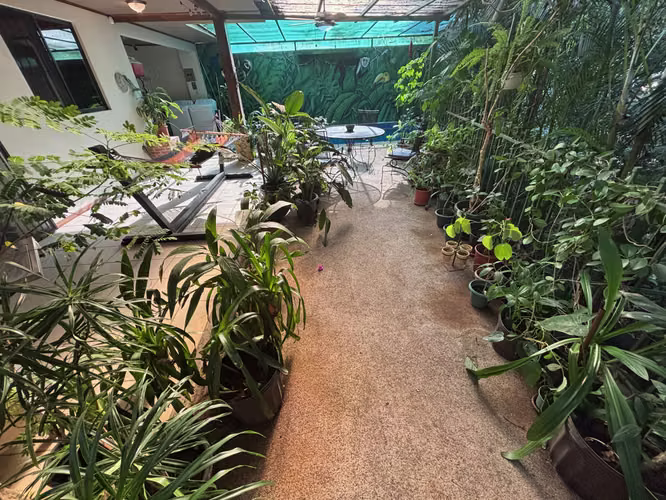 Casa en un entorno de santuario con piscina y arroyo - Imagen 4