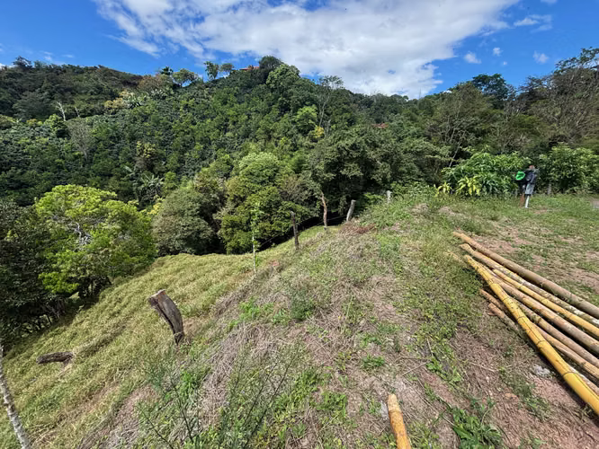 Finca de 30.000m2 (7,5 acres) ubicada a 10 minutos del centro - Imagen 18