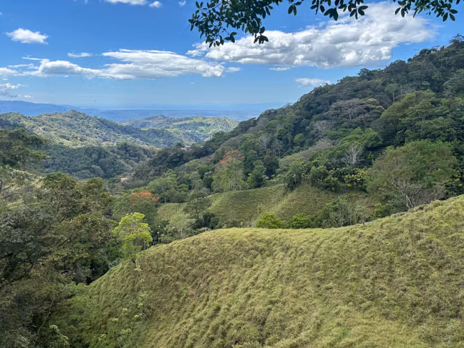 Finca de 30.000m2 (7,5 acres) ubicada a 10 minutos del centro - Imagen 7