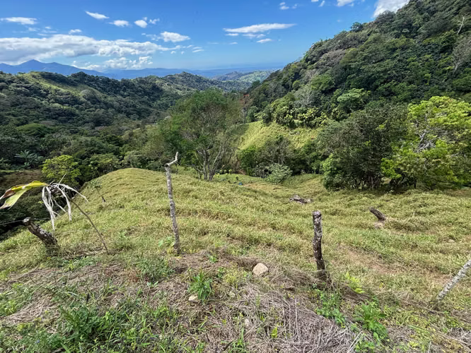 Finca de 30.000m2 (7,5 acres) ubicada a 10 minutos del centro - Imagen 15