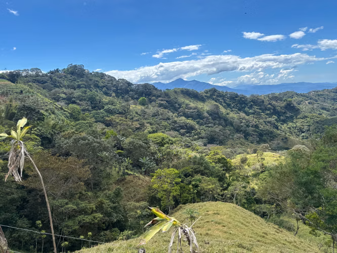 Finca de 30.000m2 (7,5 acres) ubicada a 10 minutos del centro - Imagen 6