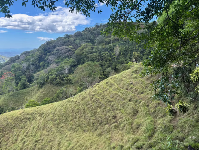 Finca de 30.000m2 (7,5 acres) ubicada a 10 minutos del centro - Imagen 17