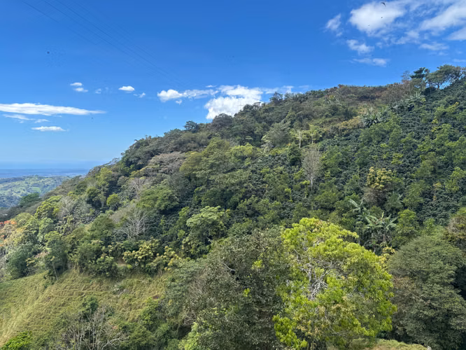 Finca de 30.000m2 (7,5 acres) ubicada a 10 minutos del centro - Imagen 14