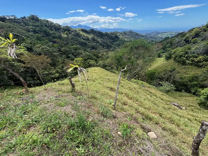 Finca de 30.000m2 (7,5 acres) ubicada a 10 minutos del centro - Imagen 12