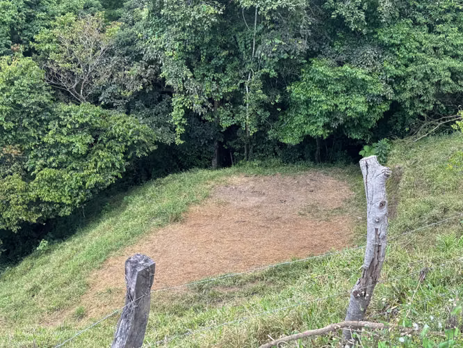 Finca de 30.000m2 (7,5 acres) ubicada a 10 minutos del centro - Imagen 4