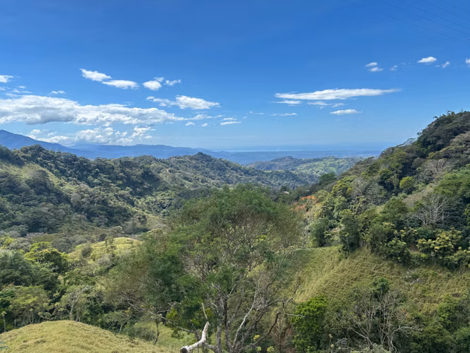 Finca de 30.000m2 (7,5 acres) ubicada a 10 minutos del centro - Imagen 9