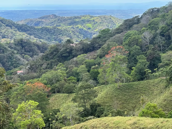 Finca de 30.000m2 (7,5 acres) ubicada a 10 minutos del centro