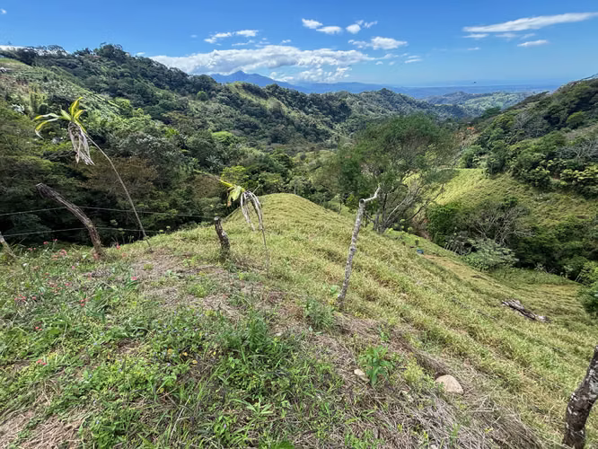 Finca de 30.000m2 (7,5 acres) ubicada a 10 minutos del centro - Imagen 13