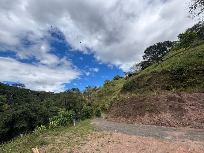 Finca de 30.000m2 (7,5 acres) ubicada a 10 minutos del centro - Imagen 16