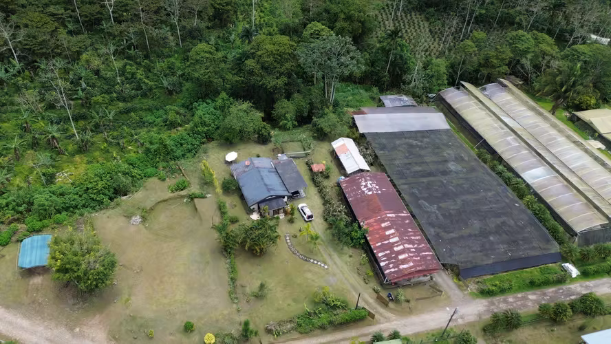 Venta de propiedad en Jabillos, Turrialba 7.743 m² - Imagen 2