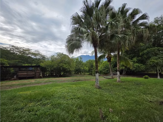 VENDO FINCA CON CASA, PISCINA Y RANCHO EN OROTINA DE ALAJUELA. - Imagen 16