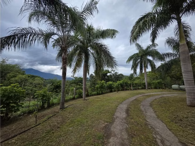 VENDO FINCA CON CASA, PISCINA Y RANCHO EN OROTINA DE ALAJUELA. - Imagen 13