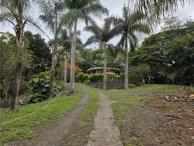 VENDO FINCA CON CASA, PISCINA Y RANCHO EN OROTINA DE ALAJUELA. - Imagen 10
