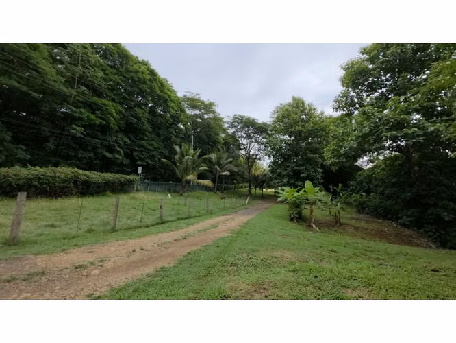 VENDO FINCA CON CASA, PISCINA Y RANCHO EN OROTINA DE ALAJUELA. - Imagen 5