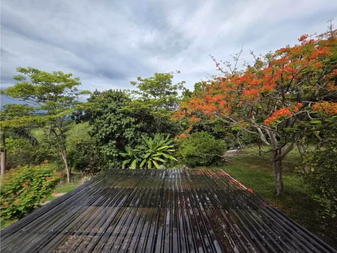 VENDO FINCA CON CASA, PISCINA Y RANCHO EN OROTINA DE ALAJUELA. - Imagen 12