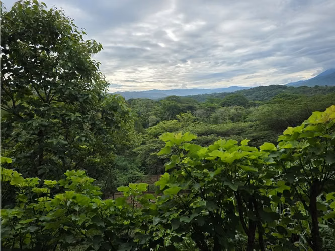 VENDO FINCA CON CASA, PISCINA Y RANCHO EN OROTINA DE ALAJUELA. - Imagen 4