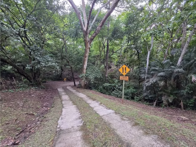 VENDO FINCA CON CASA, PISCINA Y RANCHO EN OROTINA DE ALAJUELA. - Imagen 15