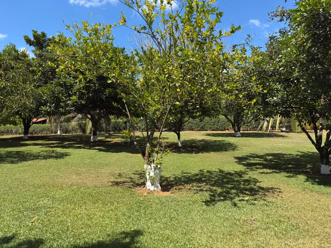 Venta. Lote con Casa. Turrubares, San Jose