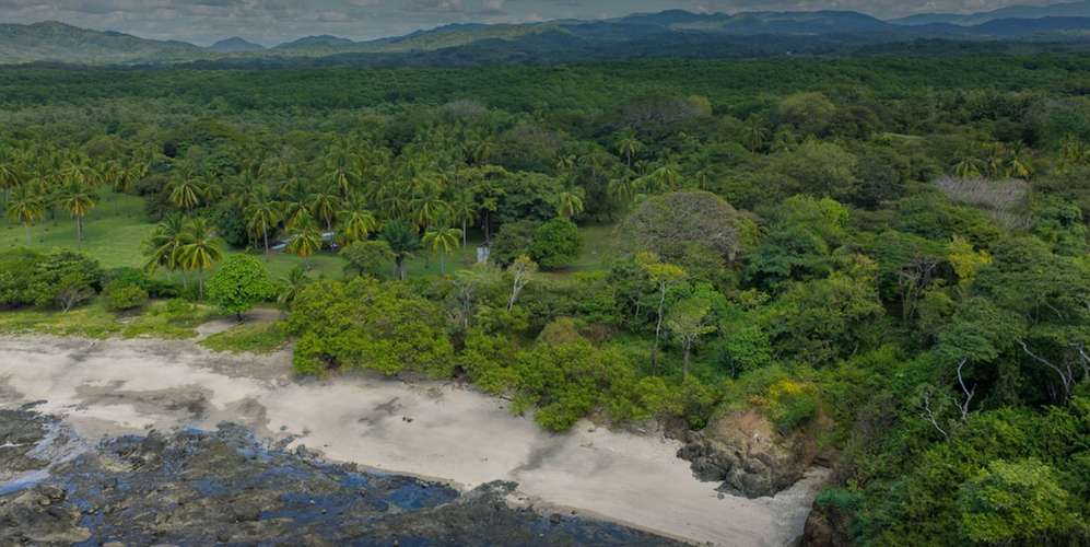 Lote frente al mar en Playa Junquillal Santa Cruz - 300m costa - - Imagen 3