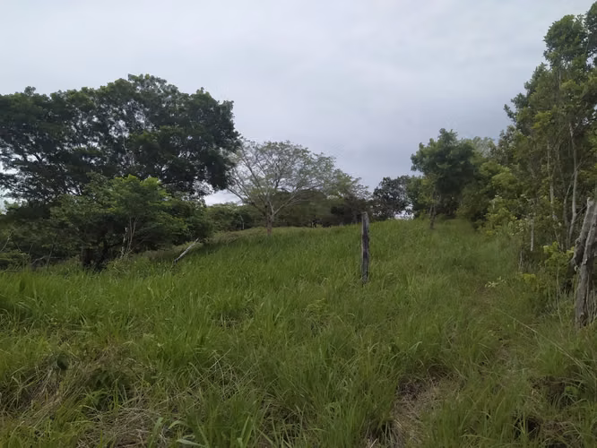 Venta de oportunidad terreno en Cañas.