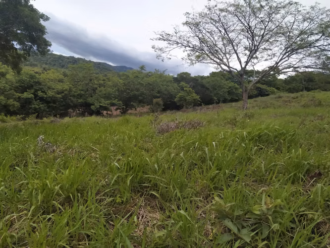 Venta de oportunidad terreno en Cañas.