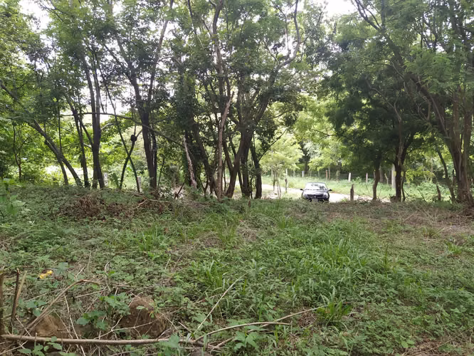 Venta de oportunidad terreno en Cañas.