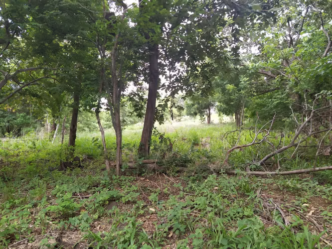 Venta de oportunidad terreno en Cañas.