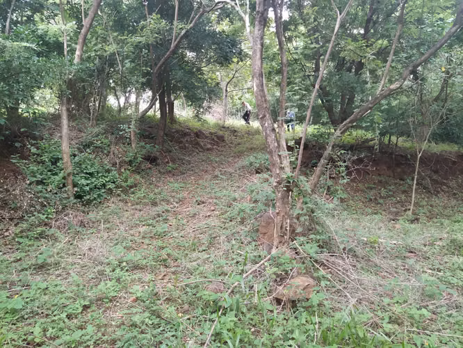 Venta de oportunidad terreno en Cañas.