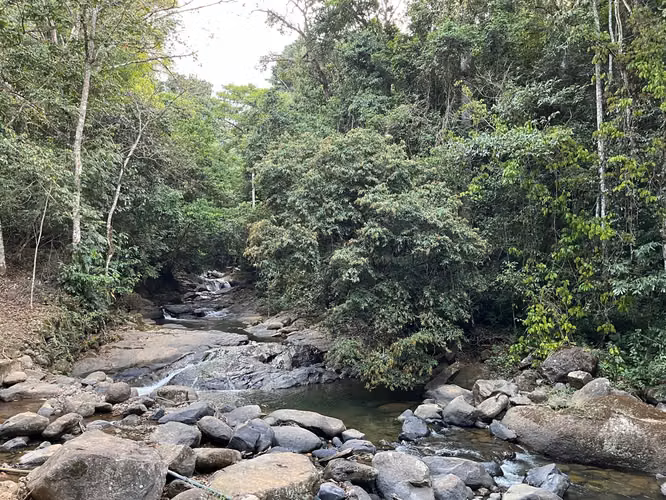 CASA TIPO CABAÑA CON HUERTO FRUTAL DE 0.80 HECTAREAS (2 ACRES) CON VISTA A LAS MONTAÑAS