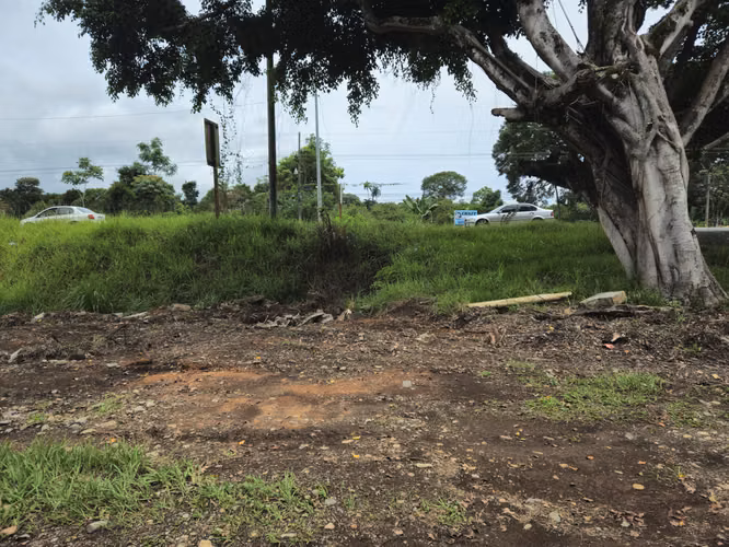 Lote Comercial en Palmares, Pérez Zeledón – 1.397 m² frente a Interamericana