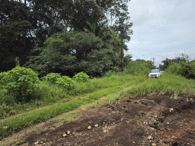 Lote Comercial en Palmares, Pérez Zeledón – 1.397 m² frente a Interamericana