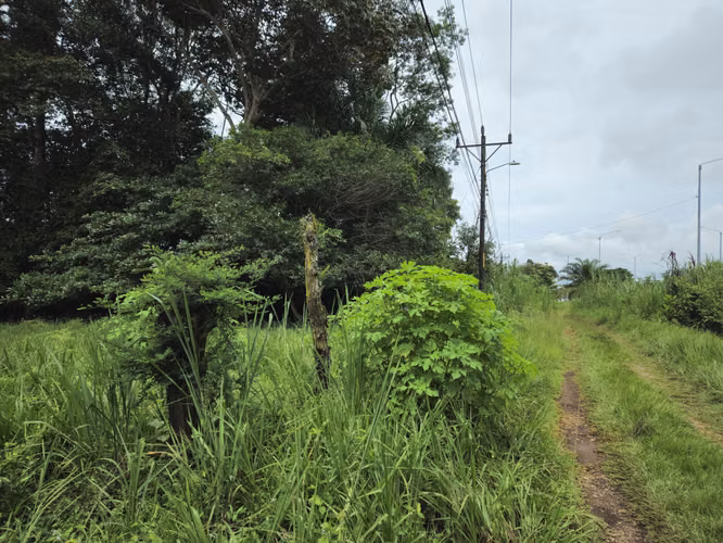 Lote Comercial en Palmares, Pérez Zeledón – 1.397 m² frente a Interamericana