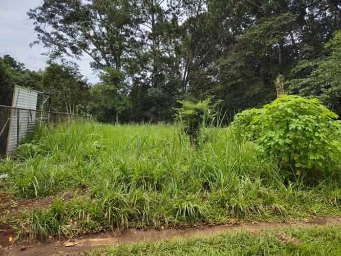 Lote Comercial en Palmares, Pérez Zeledón – 1.397 m² frente a Interamericana