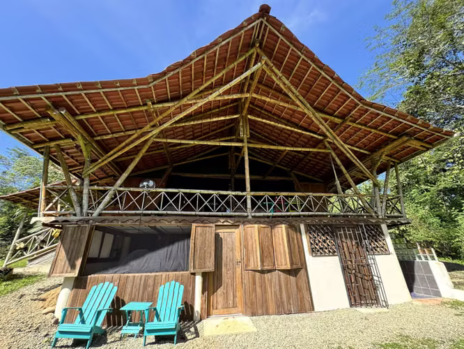 Beautiful Bamboo Jungle Home for Sale