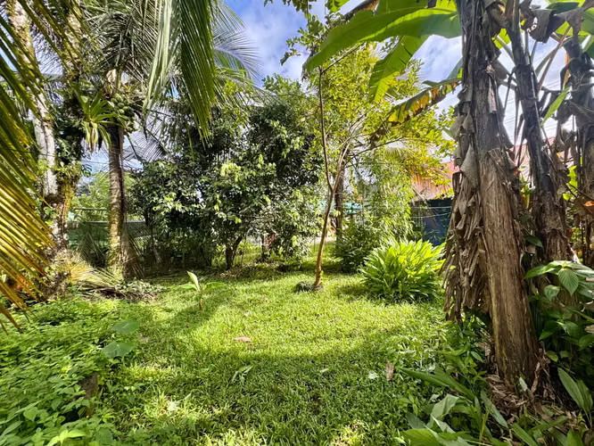 CASA + NATURALEZA | SAN ISIDRO DE PEÑAS BLANCAS - Imagen 16