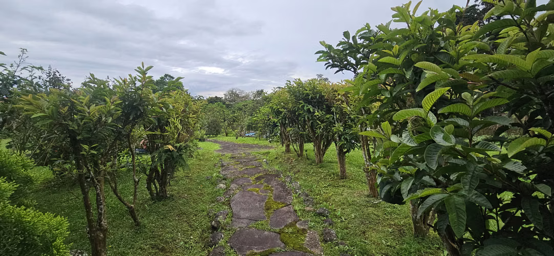 Vendo casa con amplio terreno en San Isidro de Heredia - Imagen 15