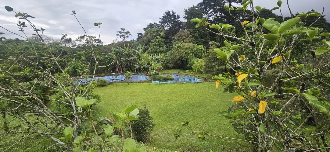 Vendo casa con amplio terreno en San Isidro de Heredia - Imagen 12