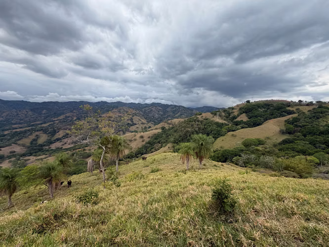 Gran finca con vistas impresionantes al Pacífico y al bosque.